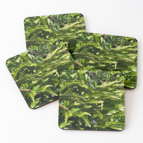 Item preview, Lush Green Ferns designed and sold by thelemmingface.