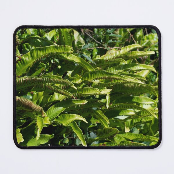 Item preview, Lush Green Ferns designed and sold by thelemmingface.