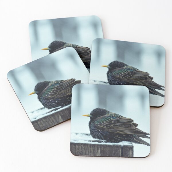 Item preview, Starling Hunkered designed and sold by Vivar Photo.