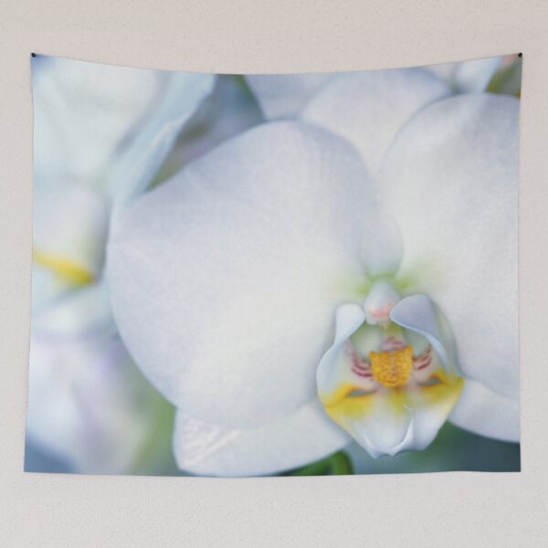Item preview, ORCHIDS designed and sold by Falko-Follert.