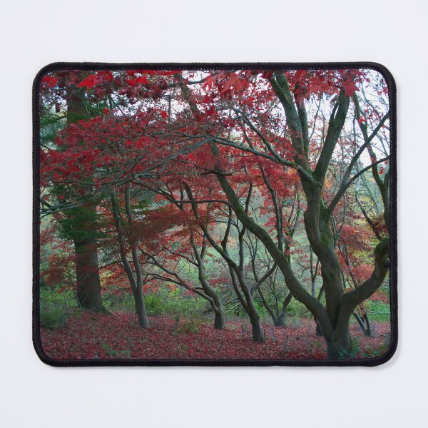 Item preview, Autumn (fall) Trees designed and sold by thelemmingface.