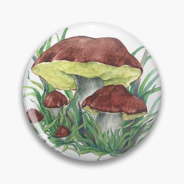 Item preview, Porcini mushrooms in a frame designed and sold by Nonna Mynatt.
