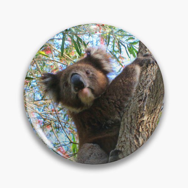 Item preview, Koala in a bottlebrush tree, Australia designed and sold by FranWest.