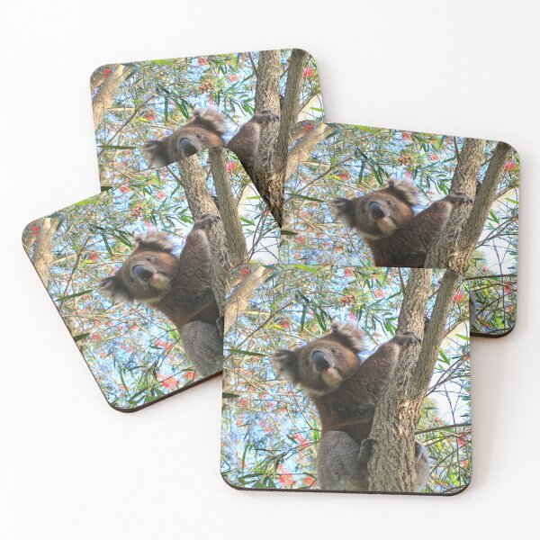 Item preview, Koala in a bottlebrush tree, Australia designed and sold by FranWest.