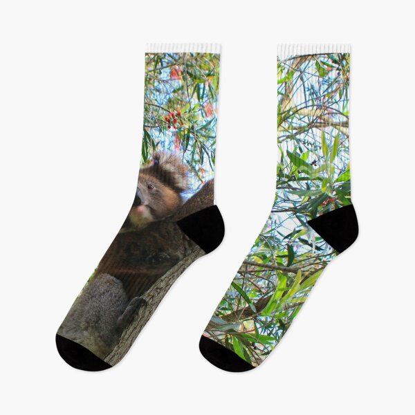 Item preview, Koala in a bottlebrush tree, Australia designed and sold by FranWest.