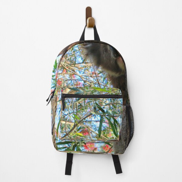 Item preview, Koala in a bottlebrush tree, Australia designed and sold by FranWest.