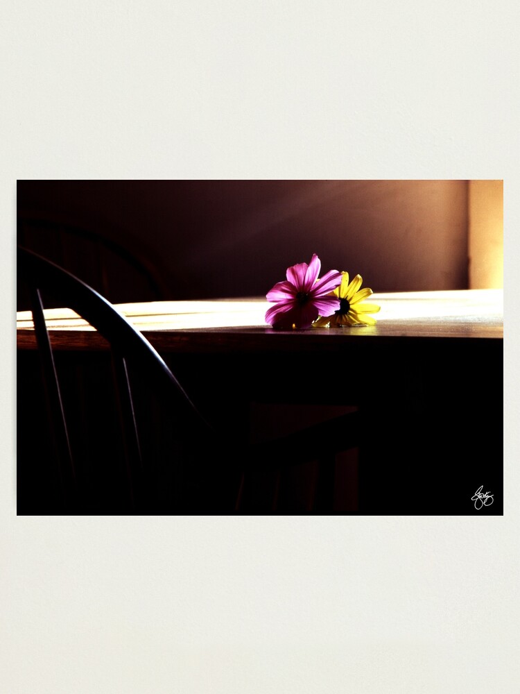 Alternate view of Flowerheads in the Sun Photographic Print
