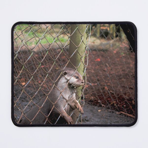 Item preview, Otter In A Cage designed and sold by thelemmingface.