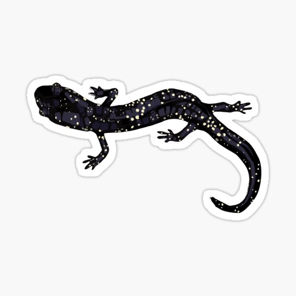 Item preview, Slimy Salamander designed and sold by rsj-kozu12.