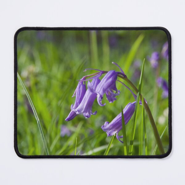 Item preview, A Bluebell designed and sold by thelemmingface.