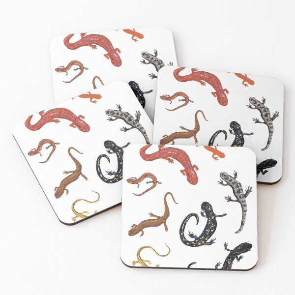 Item preview, Appalachian Salamanders designed and sold by rsj-kozu12.