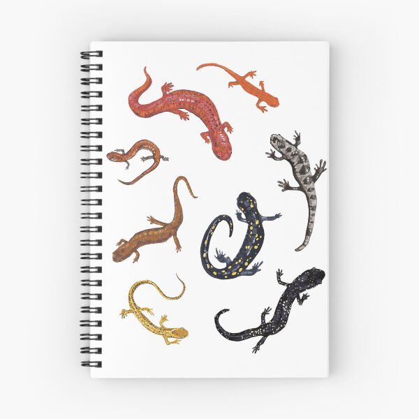 Item preview, Appalachian Salamanders designed and sold by rsj-kozu12.