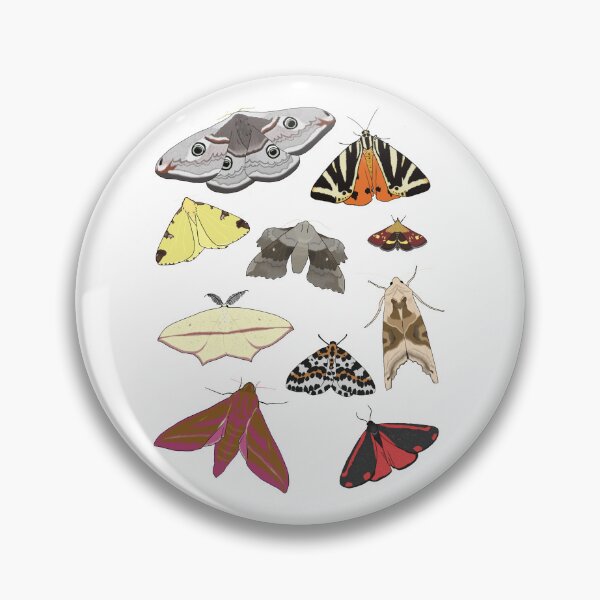 Item preview, British Moths designed and sold by Cerys O'Connell.