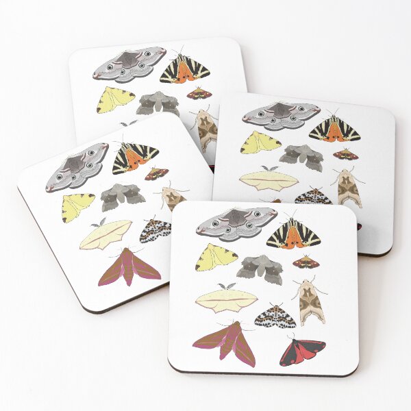 Item preview, British Moths designed and sold by Cerys O'Connell.