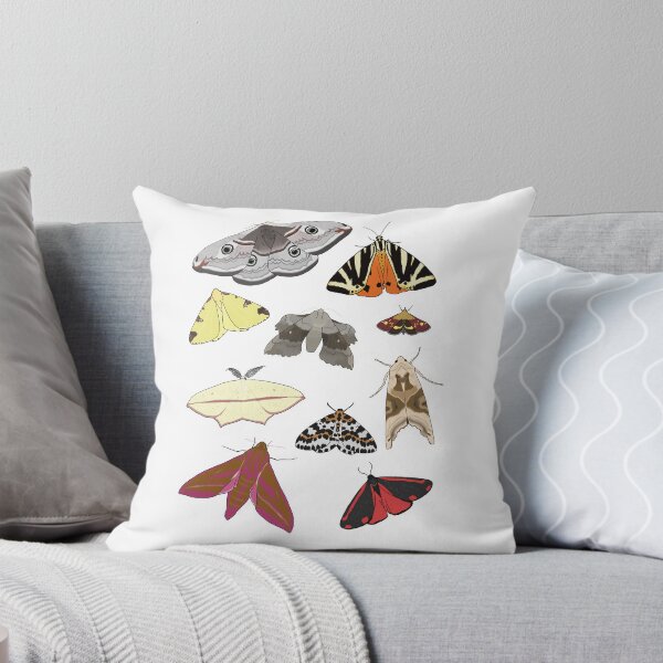 Item preview, British Moths designed and sold by Cerys O'Connell.