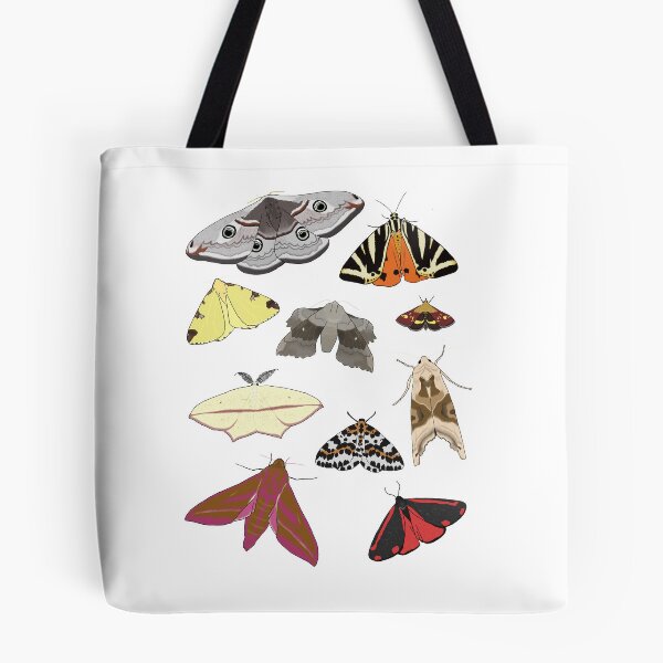 Item preview, British Moths designed and sold by Cerys O'Connell.