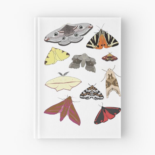 Item preview, British Moths designed and sold by Cerys O'Connell.