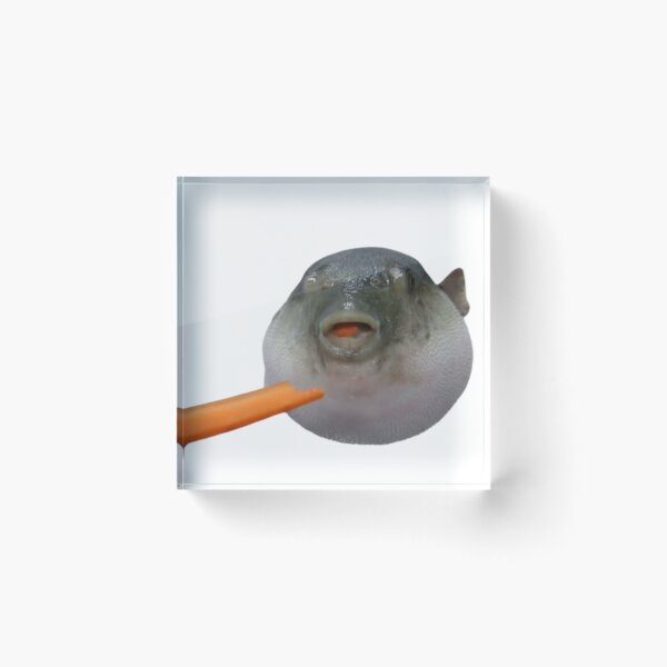 Item preview, Pufferfish Eats Carrot Meme AUGH  designed and sold by FreshDankMemes.
