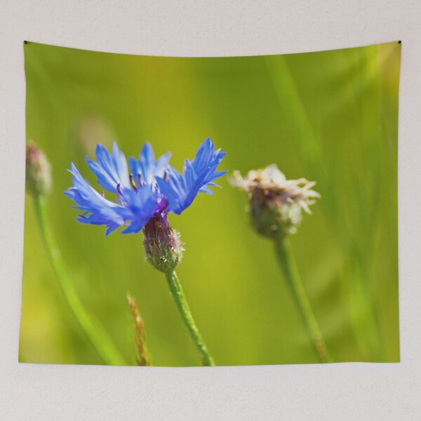 Item preview, Feeling blue designed and sold by Dominika Aniola.