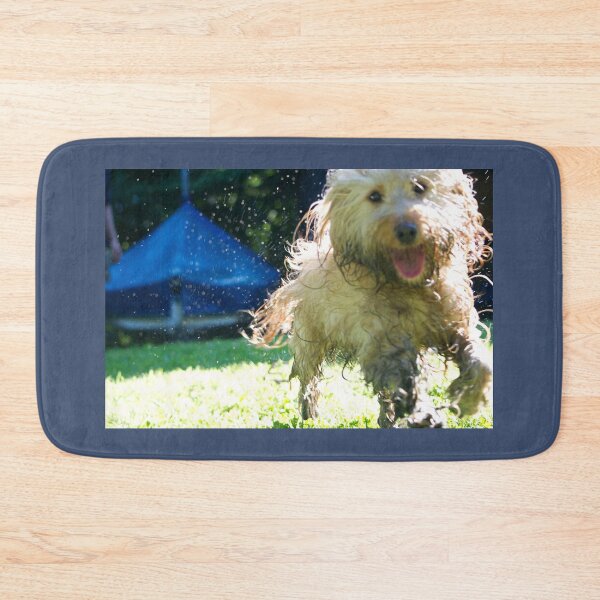 Item preview, Wet Dog! Soggy Cockapoo designed and sold by thelemmingface.