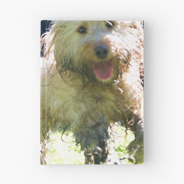 Item preview, Wet Dog! Soggy Cockapoo designed and sold by thelemmingface.