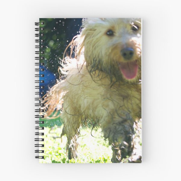 Item preview, Wet Dog! Soggy Cockapoo designed and sold by thelemmingface.