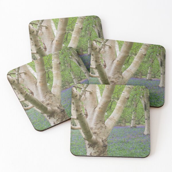 Item preview, Silver Birch and Bluebells in Spring Woodland designed and sold by thelemmingface.