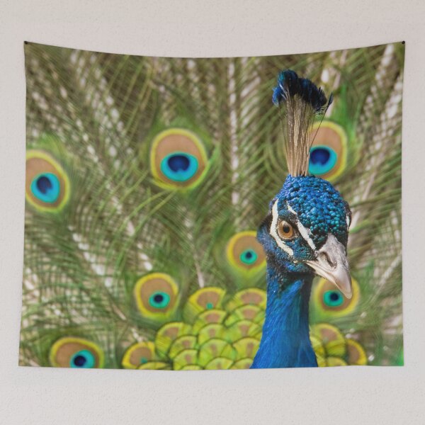 Item preview, Indian Peafowl designed and sold by Dominika Aniola.