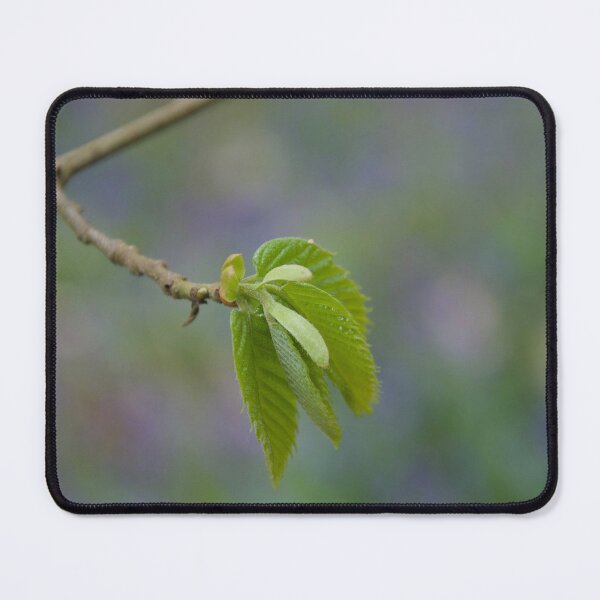 Item preview, Young Green Leaves designed and sold by thelemmingface.