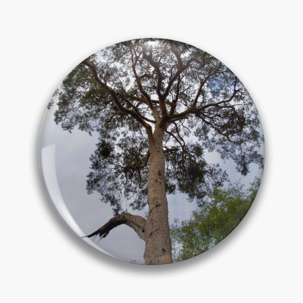 Item preview, Tall Pine Tree designed and sold by thelemmingface.