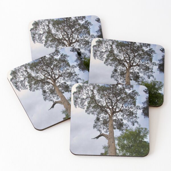 Item preview, Tall Pine Tree designed and sold by thelemmingface.