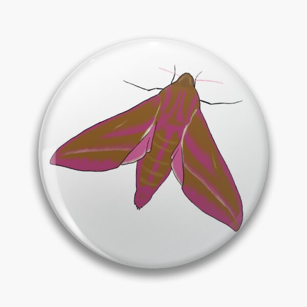 Item preview, Elephant Hawk Moth designed and sold by Cerys O'Connell.