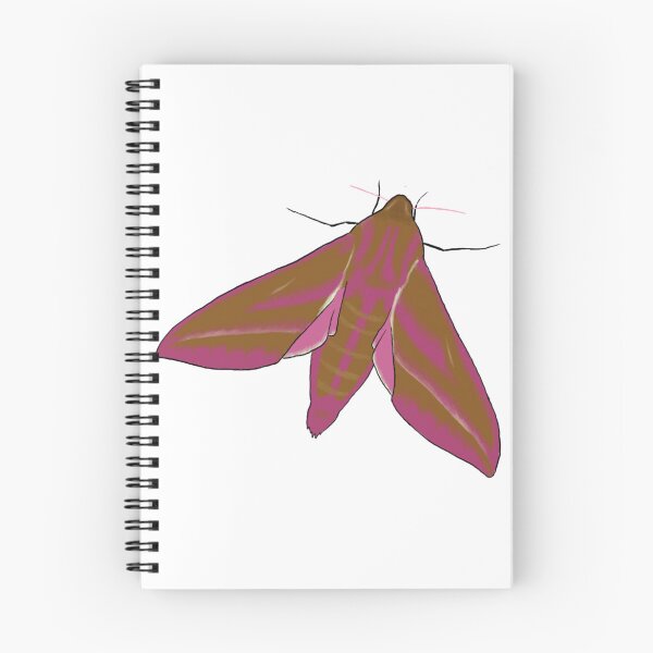 Item preview, Elephant Hawk Moth designed and sold by Cerys O'Connell.