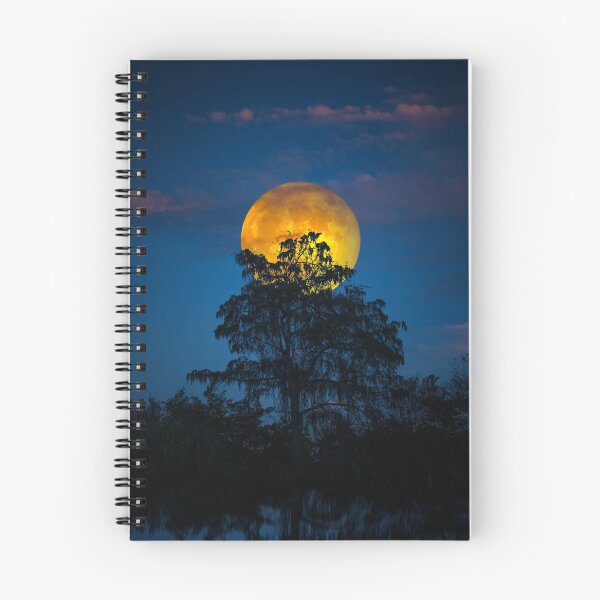 Item preview, Everglades Harvest Moon designed and sold by VisualVoyages.