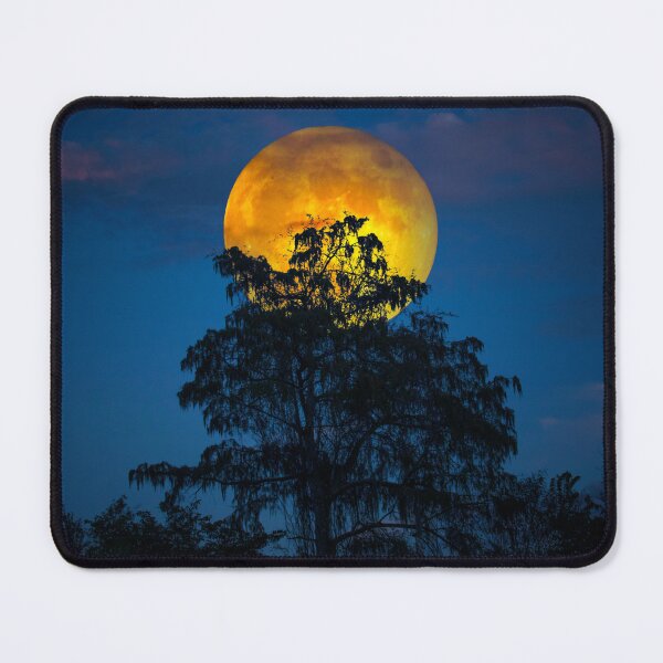 Item preview, Everglades Harvest Moon designed and sold by VisualVoyages.