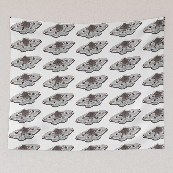 Item preview, Emperor Moth  designed and sold by Cerys O'Connell.