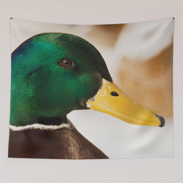 Item preview, Mr Duck designed and sold by Dominika Aniola.