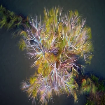 Artwork thumbnail, Abstract Tree by Huskyyy Designs