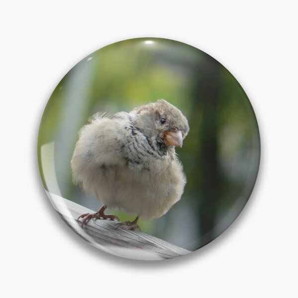 Item preview, Cute Inquisitive Sparrow designed and sold by thelemmingface.