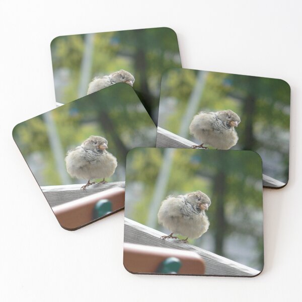 Item preview, Cute Inquisitive Sparrow designed and sold by thelemmingface.