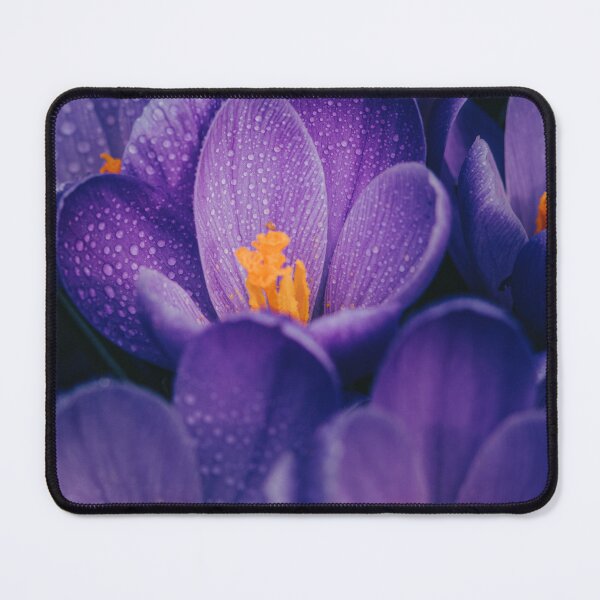 Item preview, Deepest Winter Crocus designed and sold by PygmyTitan Photo.