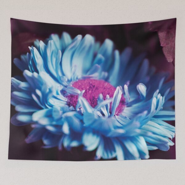 Item preview, Experiments designed and sold by Dominika Aniola.