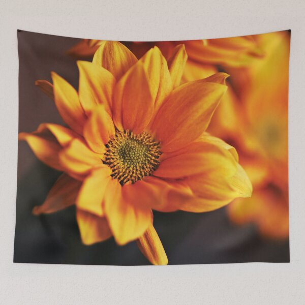 Item preview, Sunny day designed and sold by Dominika Aniola.