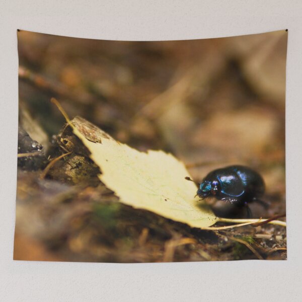 Item preview, Beetle and his journey designed and sold by Dominika Aniola.