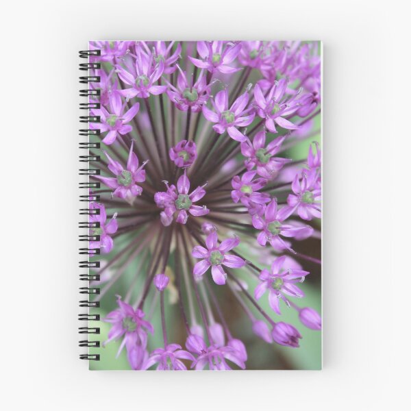 Item preview, Allium designed and sold by mmmMiMi.