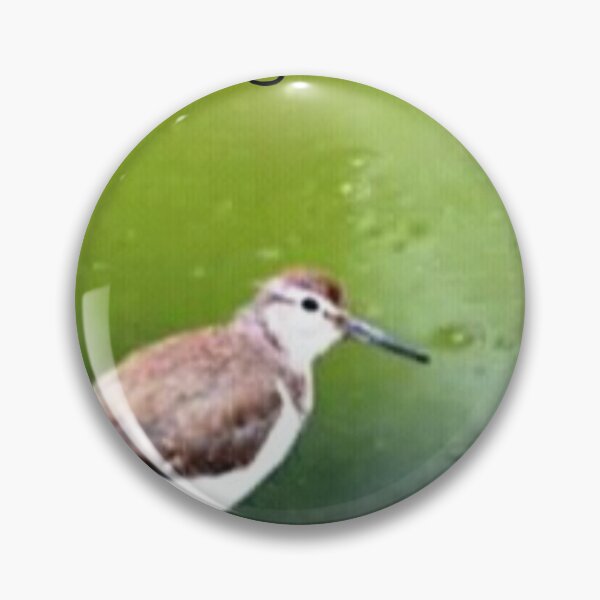 Item preview, Migratory bird designed and sold by suvashbarman.