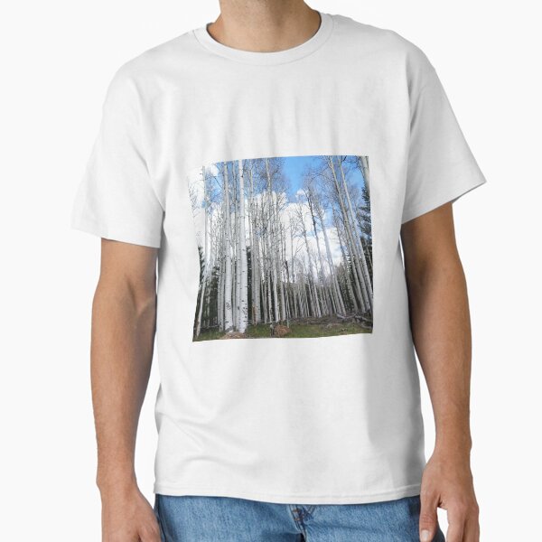 Aspen Trees Classic T-Shirt