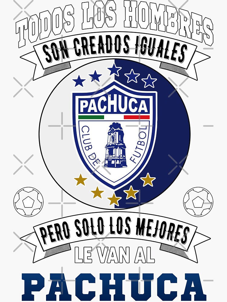 Vans pachuca 2024