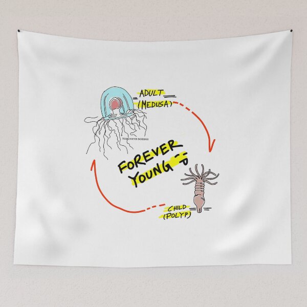 Item preview, Young jellyfish  designed and sold by SatyaYug.