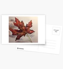 Fall Maple Leaf Postcards
